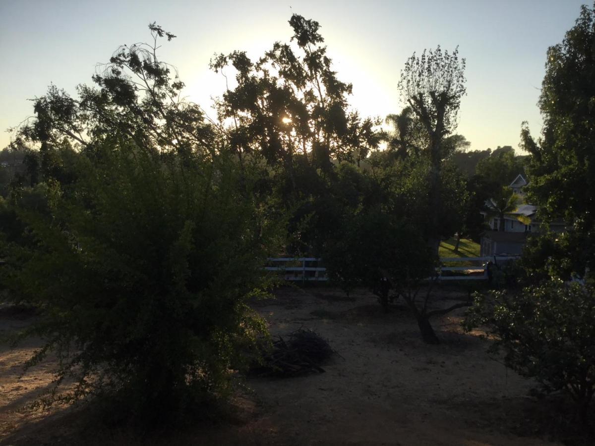 Beautiful New Detached Casita Nestled In Scenic Southern Ca Foothills! Fallbrook Exterior foto
